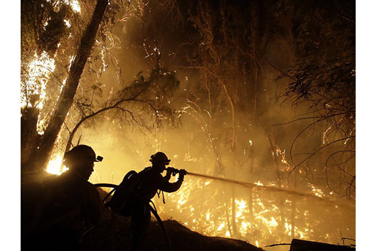 メタリカ、カリフォルニア州の山火事救済支援に10万ドルを寄付