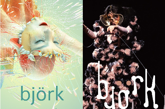 試着のみ】ビョーク フーディーM bjork orkestral 2023 試着のみ】ビョーク フーディーM bjork orkestral 2023