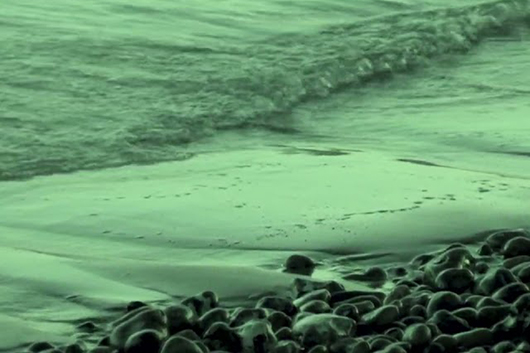 グレアム・コクソン（ブラー）とローズ・エリナー・ドゥーガルによる