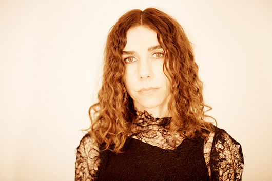 絶版 PJ Harvey 「The Hollow of the Hand」大型本 絶版 PJ Harvey 「The Hollow of the Hand」大型本