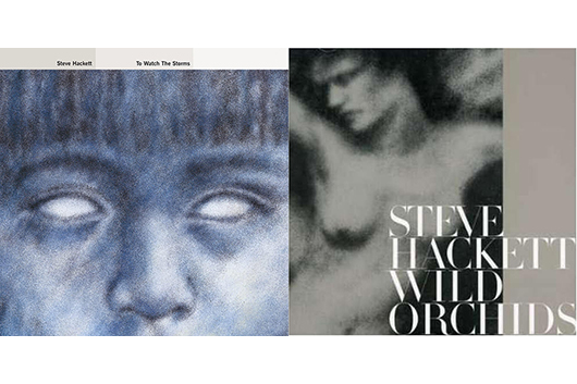 スティーヴ・ハケット、2000年代のアルバム2タイトル『To Watch The Storms』『Wild Orchids』ヴァイナルで初リリース