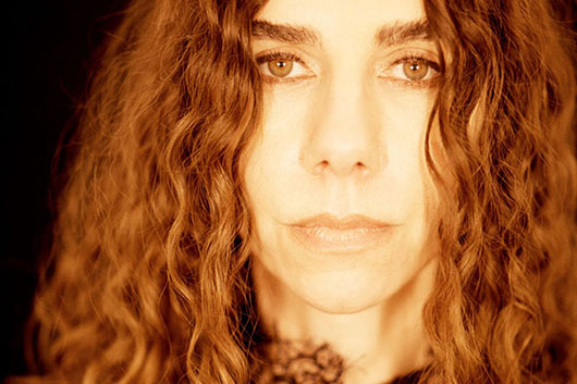 絶版 PJ Harvey 「The Hollow of the Hand」大型本 Amazon.co.jp: The Hollow of the Hand: Deluxe Edition by PJ