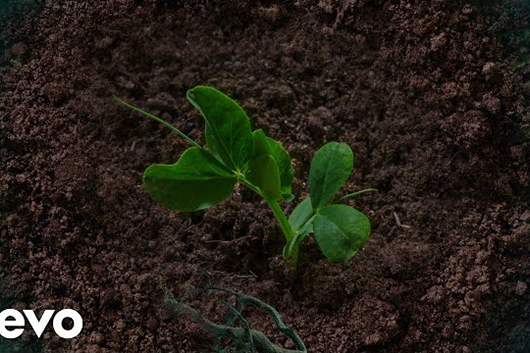 シェリル・クロウ、ピーター・ガブリエルとカヴァーした「Digging in the Dirt」公開