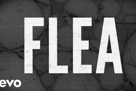 セイント・ヴィンセント、新シングル「Flea」のリリック・ビデオ公開