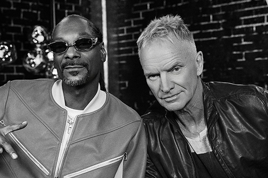 【激レア】ラップ ヒップホップ VHSビデオ ドクター・ドレー、スヌープ・ドッグ Snoop Dogg（スヌープ・ドッグ）『Missionary』ドクター・ドレー