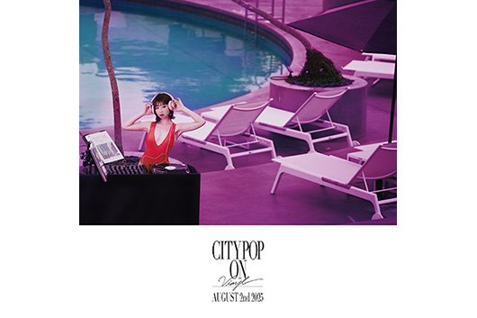 city pop story アナログ レコード city pop story アナログ レコード - メルカリ
