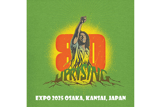 【 ボブ・マーリー 】レゲエ セレブリティー アイコンフレーム 証明書付き1 ボブ・マーリー Bob Marley ベスト BEST 2枚組 レゲエ