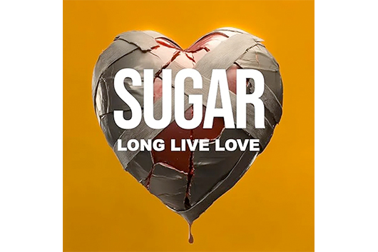 ボブ・モールドのソロ・キャリアとシュガーの曲を網羅した巨大な