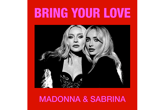 MADONNA　マドンナ　Erotica　エロティカ　限定 ピクチャー盤12” Amazon.co.jp: Erotica [Analog]: ミュージック