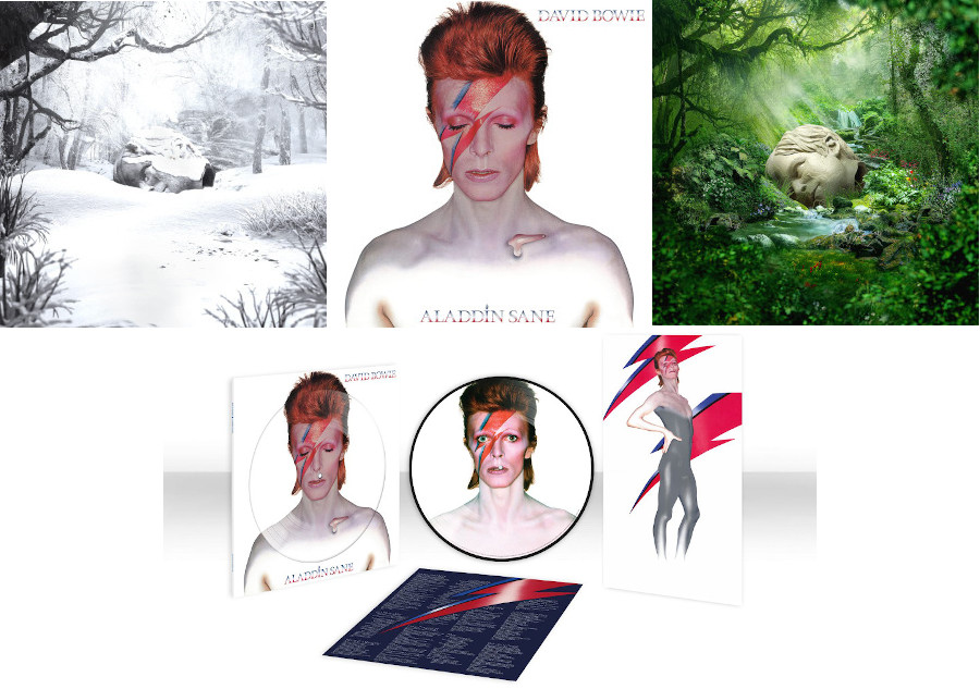 David Bowie 輸入専門書 「the wild eyed boy」