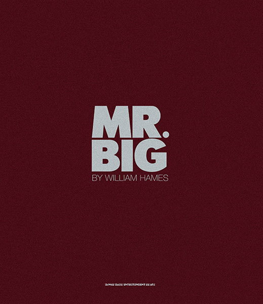MR.BIG写真集