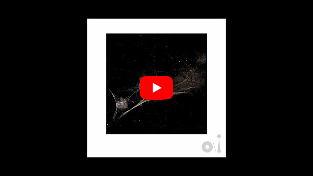 月イチ連載］ピーター・ガブリエル、2月のシングルは「Put The Bucket